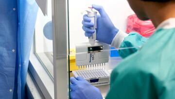 FILE PHOTO: RealTime Laboratories prepares samples for the coronavirus disease (COVID-19) testing with PCR amplification in Carrollton, Texas, U.S. June 24, 2020.  REUTERS/Cooper Neill/File Photo