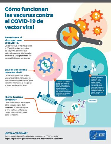 ARNm y vectores virales, la clave para la combinaci¨®n de Pfizer, Moderna, AstraZeneca y Janssen