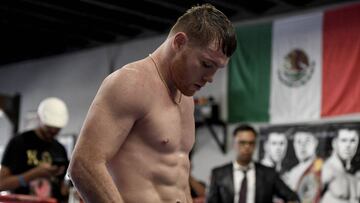 El entrenador Fredie Roach no considera que Saúl 'Canelo' Álvarez esté entre los cinco mejores boxeadores del momento, pero no se debe a su calidad como boxeador.