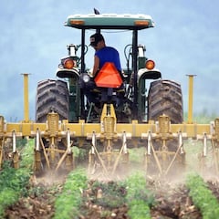 Renta Agraria del SEPE: requisitos, beneficiarios, cuantía y quiénes la pueden solicitar