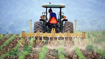 Renta Agraria del SEPE: requisitos, beneficiarios, cuant¨ªa y qui¨¦nes la pueden solicitar
