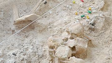 Detalle de restos de fauna y herramientas de piedra del nivel R del Abric Romaní con una antigüedad de 60.000 años.
