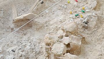 Detalle de restos de fauna y herramientas de piedra del nivel R del Abric Roman¨ª con una antig¨¹edad de 60.000 a?os.