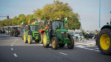 Tractorada de protesta en la valle Virgen del Patrocinio, una de las entradas a Sevilla. A 6 de febrero de 2024, en Sevilla, (Andalucía, España).Cientos de agricultores con tractores, convocados por las redes sociales y sin previa autorización oficial de las administraciones competentes, han cortado carreteras en toda Andalucía.
06 FEBRERO 2024
Francisco J. Olmo / Europa Press
06/02/2024