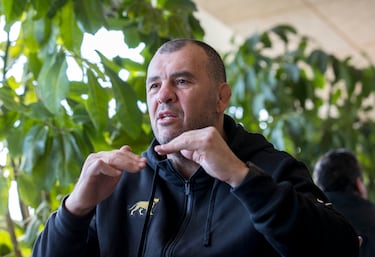 Michael Cheika: “España tiene que creer en sí misma”
