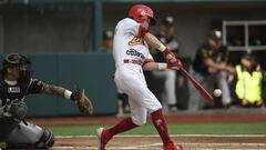 La Liga Mexicana de Béisbol cancela la temporada 2020