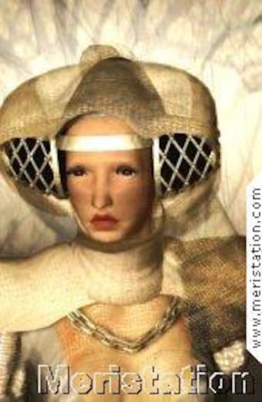 Medieval: Total War (PC)