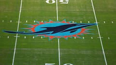 The Miami Dolphins’ new home revealed