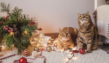 Así lograrás que tus mascotas no tiren el árbol de Navidad este 2025: consejos y más...