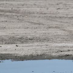 What is a ‘La Niña’ summer? Will the summer of 2024 be especially hot?