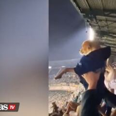 Mariners fans recreate Lion King scene with dogs at the ballpark