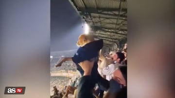 The Seattle Mariners hosted &quot;Bark in the Park&quot; day when fans brought their dogs to the ballpark. On the &quot;Simba Cam&quot;, they recreated the famous scene.