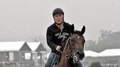 El caballo 'Big Brown', a una victoria de la Triple Corona