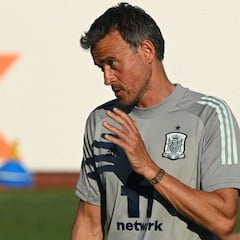 Luis Enrique: "No he visto a nadie mejor que España en esta Eurocopa"