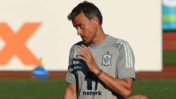 Luis Enrique: "No he visto a nadie mejor que Espa?a en esta Eurocopa"