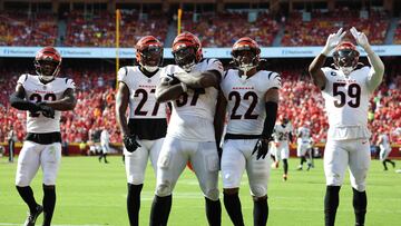 The Cincinnati Bengals have had a long fall from grace since their Super Bowl appearance a few years ago, and today they cut one of their veteran LBs.