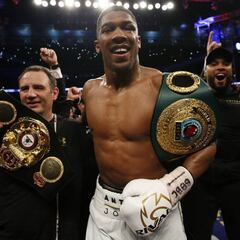 Anthony Joshua, sobre Fury y Ngannou: “Esa pelea es un sinsentido”