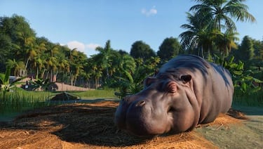 Planet Zoo, gestión de un zoológico en lo nuevo de Frontier