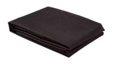 ¿Qué se necesita para tener un perro? 10 productos básicos (y baratos) para que cuides de tu mascota