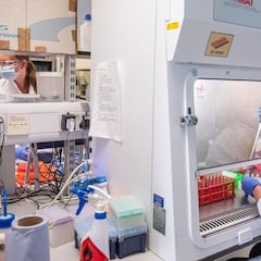 La mutación 614G, la cepa del coronavirus que pudo dificultar el control de la pandemia