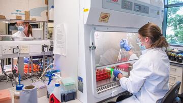 Oxford (United Kingdom), 25/06/2020.- A handout photo dated 26 June 2020 and made available by the Oxford University 23 November 2020, showing employees processing serum at the laboratories of Oxford University to produce a coronavirus vaccine jointly with AstraZeneca, Oxford, United Kingdom. The Oxford University/AstraZeneca coronavirus vaccine has an average efficacy of 70.4 per cent in preliminary results, Oxford University / AstraZeneca announced on 23 November 2020, and can be stored in a standard fridge. (Reino Unido) EFE/EPA/OXFORD UNIVERSITY / JOHN CAIRNS / HANDOUT HANDOUT EDITORIAL USE ONLY/NO SALES