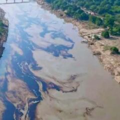 Derrame de petróleo pone en alerta a Veracruz: todas las zonas afectadas