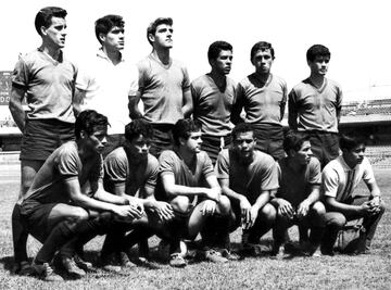 El argentino naturalizado mexicano fue el primer seleccionado que se perdió un Mundial por lesión, tras lesionarse el tobillo previo al Mundial de Chile 62.