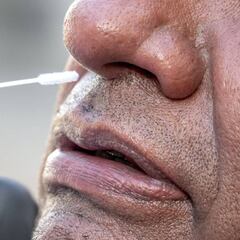 Curva del coronavirus en México, hoy 17 de agosto: ¿Cuántos casos y muertes hay?