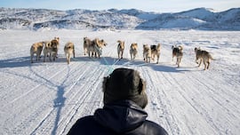 Así es la ‘Patrulla Sirius’, la unidad de élite del ejército danés que vigila Groenlandia con perros y trineos desde la IIGM