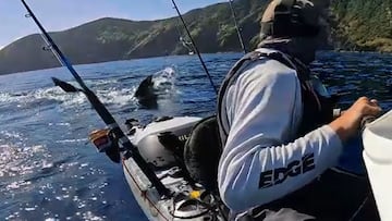 Tiburón blanco persiguiendo a kayakista en Nueva Zelanda