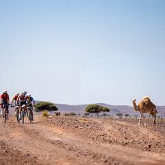 La revancha de Andrey Amador