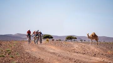 La revancha de Andrey Amador