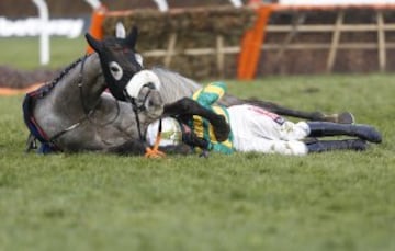 La espectacular caída de un jinete en el Festival de Cheltenham