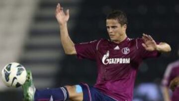 Afellay dejar¨¢ el Schalke