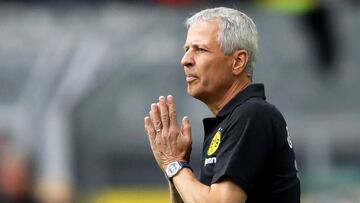 Favre con el BVB.