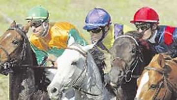 <b>TRIPLE ATRACTIVO. </b>Tres carreras de gran nivel hoy en La Zarzuela.