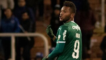 Miguel Borja perdido en Brasil: la caída de su carrera en 2019