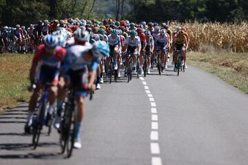 El pelotón durante la octava etapa del Tour de Francia 2020.