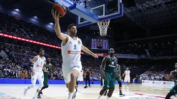 08/03/18 PARTIDO DE EUROLIGA
REAL MADRID - PANATHINAIKOS
FELIPE REYES