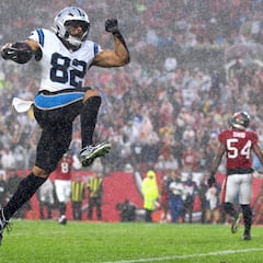 Panthers clinch NFC South despite Week 18 loss