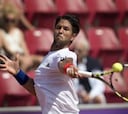 Verdasco elimina a Dimitrov y se enfrenta a Berlocq en la final