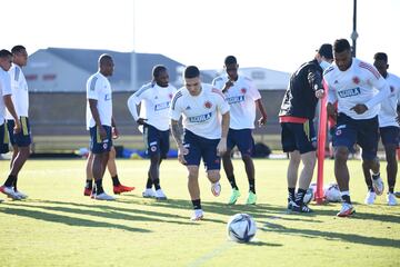 El equipo nacional está listo para el amistoso ante la Selección de Hernán Darío Gómez. Los dirigidos por Reinaldo Rueda realizaron trabajos tácticos en su último entrenamiento.