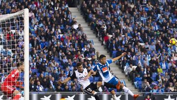 Una gran blanquiazul.