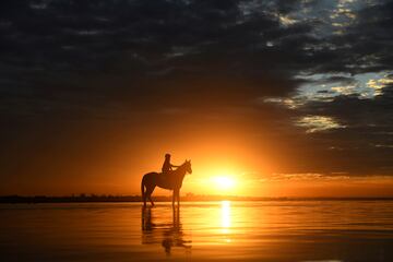 Preciosa fotografía en la que Camille Piantoni se dispone a comenzar una sesión de entrenamiento a lomos de Cilindro en la playa de Altona North (Australia). El fotógrafo ha sabido captar todos los elementos que la naturaleza le brindaba, que no eran pocos, para obtener como resultado una imagen sencillamente maravillosa.