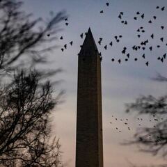 Third stimulus check: when is it coming in March?