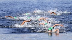 Nadadores en el Parque Marino de Odaiba