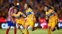 Tigres - Chivas (5-3): Resumen del partido y goles