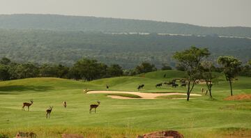 La práctica del golf en este lugar tiene el extra de disfrutar de un entorno natural lleno de vida salvaje. 