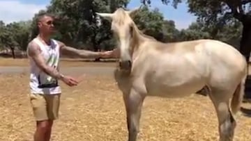 Sergio Ramos en su &#039;Yeguada SR4&#039; con uno de los caballos.