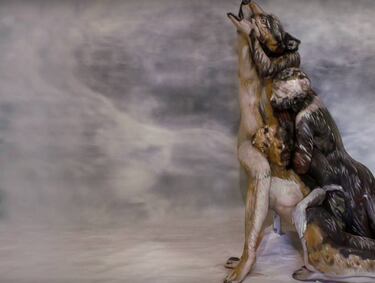 Así es como aumentando la cantidad de lobos en los bosques se puede ayudar a reducir 6.080 toneladas de dióxido de carbono al año 